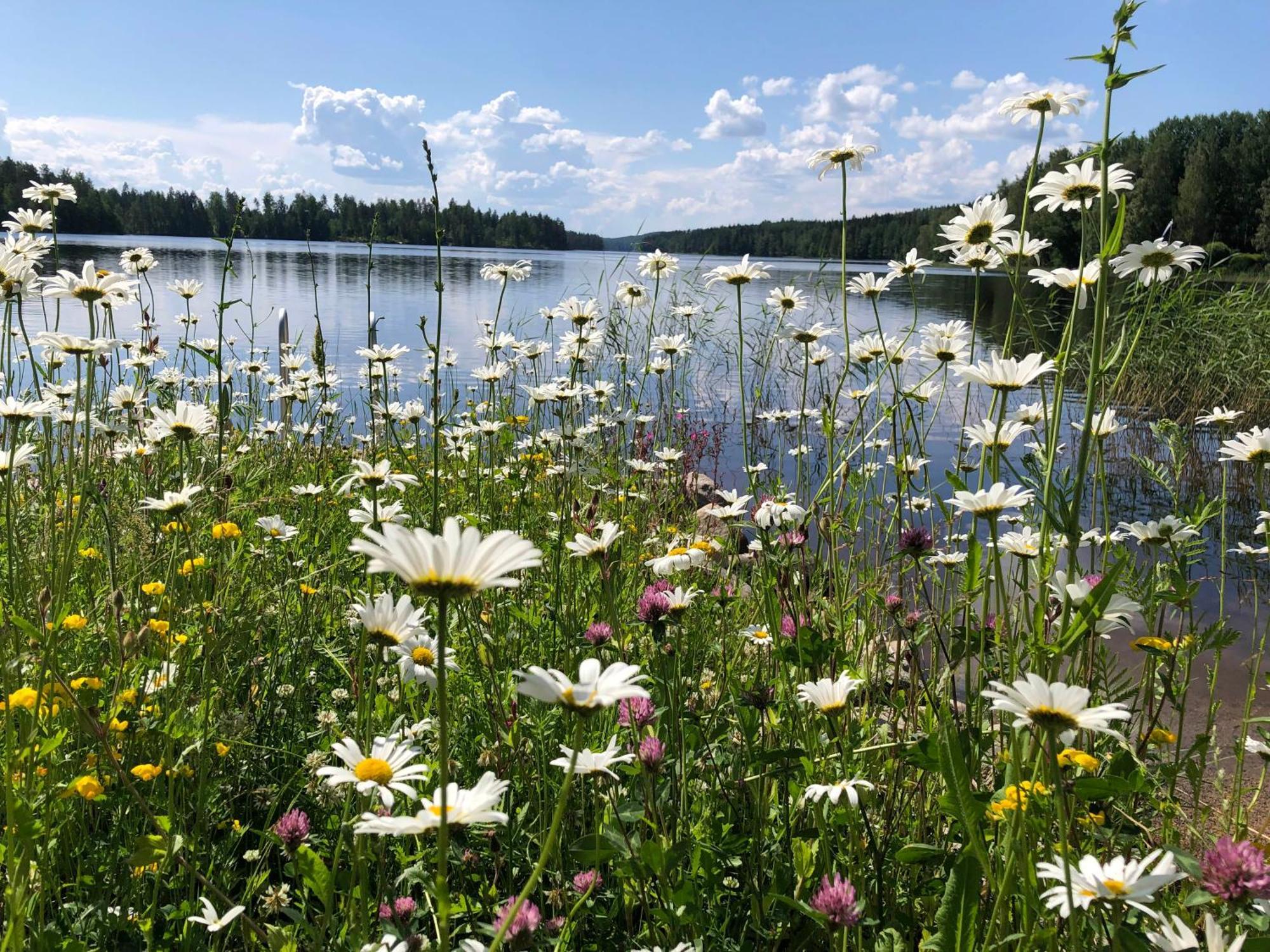 Vehkaniemen Lomatila Pohjaslahti Exterior photo